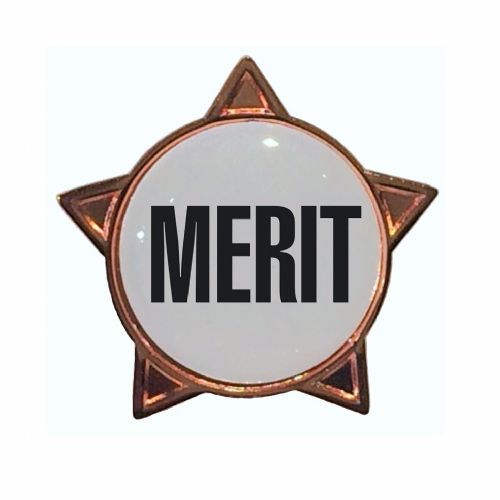 MERIT star badge